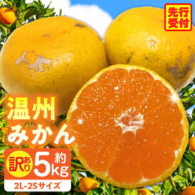 【ふるさと納税】【先行予約】訳あり温州みかん 約5kg みかん 温州みかん 果物 青果物 青果 果実 訳あり 訳ありみかん 訳あり果物 訳ありフルーツ フルーツ みかん デザート 青果 柑橘 訳あり品 家庭用 ご家庭用 お裾分け オレンジ グルメ ストック 香川県 三木町 送料無料