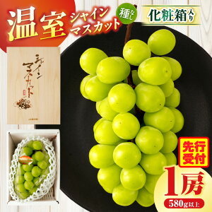 yӂ邳Ɣ[ŁzVC}XJbg@1[ϔ(580gȏ) ʕ t[c fU[g XC[c }XJbg 햳 햳}XJbg ϔ ϔ 蕨 Mtg  p 