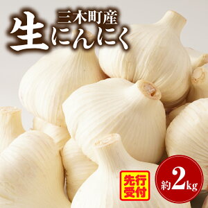 yӂ邳Ɣ[ŁzOؒY ɂɂ 2kg ɂɂ K[bN   H Y Yɂɂ   X^~i   蕨 Mtg  XgbN NHi Hi O 