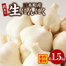【ふるさと納税】三木町産訳あり生にんにく　約1.5kg にんにく 生にんにく ニンニク 訳あり 訳あり返礼品 訳あり品 野菜 新鮮 生野菜 香り豊か 栄養価が高い 肉厚 生 料理 スタミナ料理 家庭用 自宅用 香川県 三木町