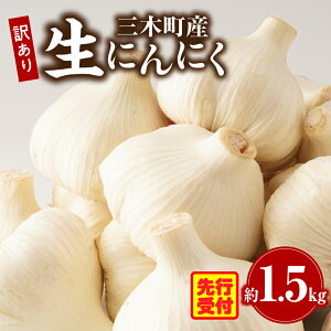 yӂ邳Ɣ[ŁzOؒY󂠂萶ɂɂ@1.5kg ɂɂ ɂɂ jjN 󂠂 󂠂ԗi 󂠂i  VN  L h{    X^~i ƒ
