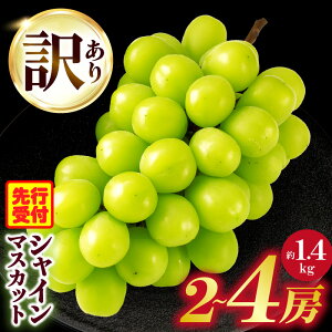 yӂ邳Ɣ[Łz _s\^ y2026Nz󂠂VC}XJbg 1.4kg 2`4[ VC }XJbg Ԃǂ ʕ ʎ ʏ` lC  VC}XJbg t[c fU[