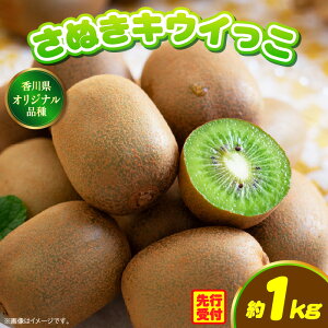 yӂ邳Ɣ[Łz쌧IWiLECt[cuʂLECv1kgy쌧ʕԗiz | LEC LECt[c ʕ t[c  ʕ ʂLEC ʎ  蕨 
