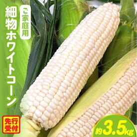 【ふるさと納税】【先行予約】【訳あり】ご家庭用細物ホワイトコーン約3.5kg とうもろこし 野菜 コーン 旬の野菜 旬 季節の野菜 季節 贈答 贈り物 ギフト プレゼント おすそ分け お野菜 ふるさと グルメ お取り寄せ 人気 おすすめ 特産 特産品 生鮮食品 香川県 三木町