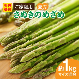 yӂ邳Ɣ[ŁzƒpAXpKXuʂ̂߂߁viZ~OjTCY1kg AXp AXpKX ʂ̂߂ ƒp  ① VN 쌧 Oؒ Z~O 