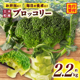 【ふるさと納税】三木町産ブロッコリー　約2.2kg ブロッコリー 野菜 食材 サラダ 料理 大きい 新鮮 生野菜 生鮮食品 栄養価が高い 冷蔵 おすすめ 香川県 三木町 送料無料