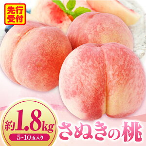 yӂ邳Ɣ[Łzʂ̓@1.8kg(5`10ʓ) iʂsʕԗij s[` ʕ ʕ  ʎ NHi t[c fU[g XC[c lC  O  { {