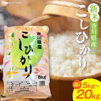 楽天市場】香川米 30kgの通販