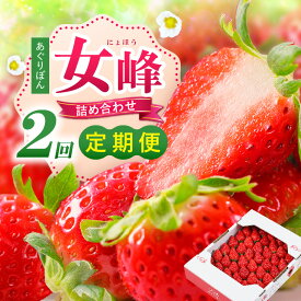 【ふるさと納税】あぐりぼん「女峰」詰め合わせ 2回定期便 いちご 果物 フルーツ 定期便 女峰 希少 デザート ストロベリー 果肉 スイーツ 甘い 国産 贈り物 贈答 プレゼント 人気 おすすめ 季節 旬 旬の果物 詰め合わせ 香川県 三木町 送料無料