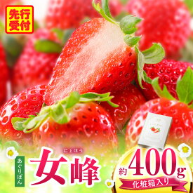 【ふるさと納税】あぐりぼん　いちご「女峰」【贈答用】いとしきみ化粧箱　約400g（15〜18粒） いちご 果物 フルーツ デザート ストロベリー 果肉 スイーツ 甘い 国産 贈り物 贈答 プレゼント グルメ 人気 おすすめ 季節 旬 旬の果物 香川県 三木町 送料無料