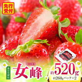 【ふるさと納税】あぐりぼん　いちご「女峰」　約260gパック×2個（約520g） いちご 果物 フルーツ デザート ストロベリー 果肉 スイーツ 甘い 国産 贈り物 贈答 プレゼント グルメ 人気 おすすめ 季節 旬 旬の果物 香川県 三木町 送料無料