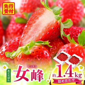 【ふるさと納税】あぐりぼん　いちご「女峰」　詰め合わせ約1.4kg（約700g×2箱）いちご 果物 フルーツ デザート ストロベリー 果肉 スイーツ 甘い 国産 贈り物 贈答 プレゼント グルメ 人気 おすすめ 季節 旬 旬の果物 詰め合わせ 香川県 三木町 送料無料