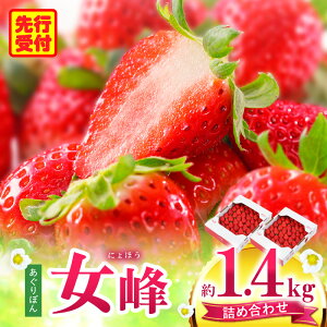 【ふるさと納税】あぐりぼん いちご「女峰」 詰め合わせ約1.4kg (約700g×2箱)いちご 果物 フルーツ デザート ストロベリー 果肉 スイーツ 甘い 国産 贈り物 贈答 プレゼント グルメ 人気