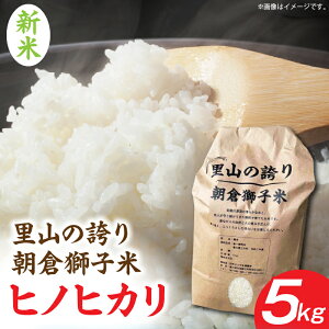 �y�ӂ邳�Ɣ[�Łz�����ʌ��聄�y�ߘa7�N�x�Y�z���R�̌ւ� ���q���q�� �q�m�q�J�� 5kg �� ���� ���� ���� ������ ���ɂ��� �l�C �������� �ӂ邳�� �M�t�g �O���� �������� ���蕨 ���� �퉷 