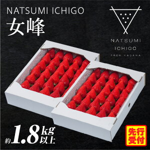 yӂ邳Ɣ[Łzs\ NATSUMI ICHIGO  1.8kgȏ i2026N1`6zj Xgx[  1kgȏ  ① t[c { ʕ 쌧 fU[g ʕ  v[g 蕨 G