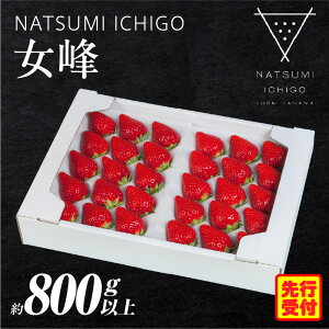 yӂ邳Ɣ[ŁzNATSUMI@ICHIGO 800gȏ@v~ABOXy2026N1`6zzXC[c  Xgx[   ① t[c { ʕ 쌧 fU[g ʕ  v[g 