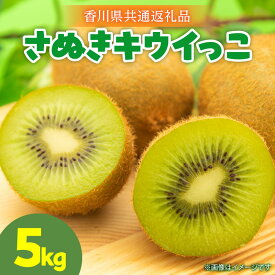 【ふるさと納税】【先行予約】さぬきキウイっこ5.0kg キウイ 果物 フルーツ デザート 旬 旬の果物 季節 季節の果物 人気 おすすめ 贈り物 贈答 プレゼント ご褒美 キウイフルーツ さぬきキウイ 香川 香川県 三木町 送料無料 【香川県共通返礼品】