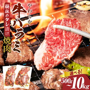 yӂ邳Ɣ[ŁzyIׂeʁz炩n~ē `̃^Ђ500g`10kg  ē ^ Ђ ` _炩 t   n~ n~ ₫ɂ   ؂ Ⓚ BBQ o
