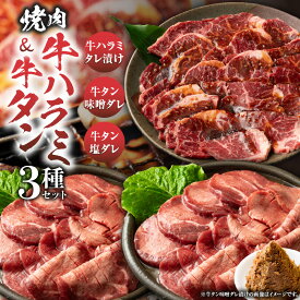 【ふるさと納税】「牛ハラミ」&「牛タン」　焼肉3種セット　各250g(計750g) 牛肉 焼肉 タレ 塩ダレ 味噌ダレ 漬け 秘伝 柔らかい 肉 お肉 牛 タン 焼き肉 お裾分け 肉セット 味付き やきにく ハラミ 牛タン 希少 小分け 冷凍 BBQ バーベキュー 香川県 三木町 おすすめ