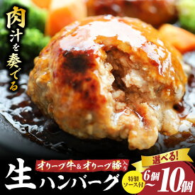 【ふるさと納税】【ふるさと納税】【選べる内容量】オリーブ牛&オリーブ豚入り生ハンバーグ 特製ソース付 6個～10個セット オリーブ牛 ハンバーグ オリーブ豚 国産牛 肉汁の滝 特製ソース ステーキソース ジューシー 濃厚 冷凍 香川県 おすすめ ふるさと 牛 豚 合い挽き
