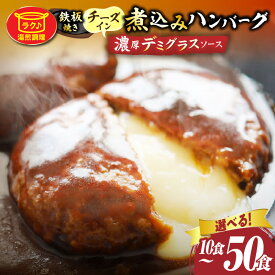 【ふるさと納税】【選べる内容量】鉄板焼き チーズイン 煮込みハンバーグ 濃厚デミグラスソース 10食～50食セット ハンバーグ 煮込み チーズ 鉄板焼き 香ばしい 柔らか とろける 濃厚 デミソース ジューシー 冷凍 香川県 三木町 おすすめ 人気 肉 お肉 鉄板 湯煎 簡単