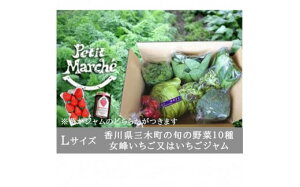 yӂ邳Ɣ[Łzv`}VF؃{bNX(L)@G߂̖10큕䕖̓W@@IDOMALL@ZNg W   C`S   VN ① t[c { ʕ 쌧 fU[