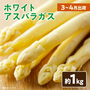 yӂ邳Ɣ[Łz072@zCgAXpKX1kgi3`4oׁj AXp AXpKX zCgAXpKX VN fނ̖ t  쌧 Oؒ