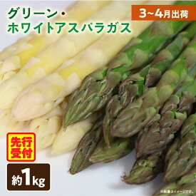 【ふるさと納税】【先行予約】グリーン・ホワイトアスパラガス約1kg（3～4月出荷） アスパラ アスパラガス ホワイトアスパラガス 新鮮 春野菜 グリーンアスパラガス 野菜 旬 旬の野菜 贈答 お裾分け 人気 おすすめ 贈り物 食品 香川県産 ふるさと 香川県 三木町 送料無料