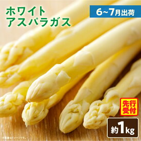【ふるさと納税】【先行予約】ホワイトアスパラガス約1kg（6～7月出荷） アスパラ アスパラガス ホワイトアスパラガス 旬 野菜 旬の野菜 香川県産 お裾分け 贈り物 食品 人気 おすすめ おいしい シャキシャキ野菜 新鮮 素材の味 夏野菜 直送 ふるさと 香川県 三木町 送料無料