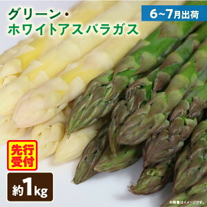 【ふるさと納税】【先行予約】グリーン・ホワイトアスパラガス約1kg(6〜7月出荷) ホワイトアスパラ アスパラガス グリーンアスパラ アスパラ 野菜 生野菜 夏野菜 直送 新鮮 人気 贈り物