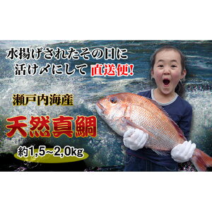 yӂ邳Ɣ[Łzyl꒼ցz˓CY̓VRۂ1C TCY L HHi