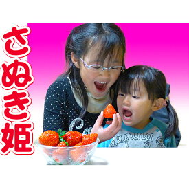 【ふるさと納税】香川県のオリジナル品種/さぬき姫いちご4パック 苺 イチゴ 果物類 フルーツ 　お届け：2026年1月23日から2026年4月10日まで