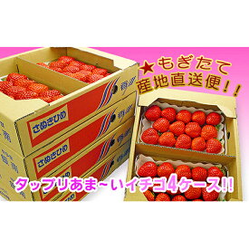 【ふるさと納税】香川県のオリジナル品種/さぬき姫いちご8パック 苺 イチゴ 果物類 フルーツ 　お届け：2026年1月23日から2026年4月10日まで