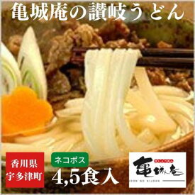 【ふるさと納税】亀城庵の本格讃岐うどん ツルっと亀～る　さぬきうどん・4人前 or 5人前・ぶっかけ ざる すき焼き 鍋 麺類 夕飯 お昼 さっぱり 並切麺 つゆ付 半生讃岐うどん つゆなし 生讃岐うどん つゆ付セット 太切麺
