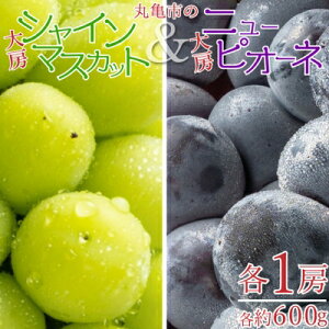 yӂ邳Ɣ[ŁzۋTs̑[VC}XJbg[j[sI[l@e1[ie600gj ʕ Ԃǂ t[c ʏ` Â Z  Ȃ W[V[ lC Zbg l @͂F2026