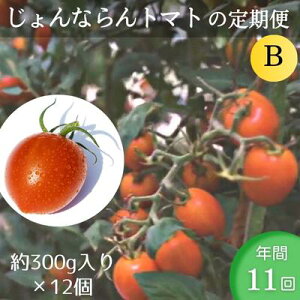 yӂ邳Ɣ[Łzq|ĂȂg}g̒B 300g×12iN11j @͂F񕍁ij̗NԃX^[gv܂