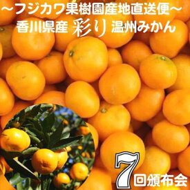 【ふるさと納税】【7回頒布会】～フジカワ果樹園産地直送便～香川県産・彩り温州みかんセット　【定期便・ 果物類 フルーツ 詰合せ お歳暮 御歳暮 お年賀 みかん 果物 香川 】