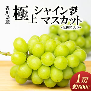 yӂ邳Ɣ[Łz쒬Y@ɏVC}XJbg@[1[iϔj ʕ Ԃǂ t[c  VC}XJbg @͂F2025N7{`9{󋵂ɂĊ]ʂ肨