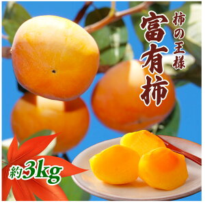 yӂ邳Ɣ[Łz`̉l xL` 3kg ʕ @͂F2025N11{`12{󋵂ɂĊԒʂ肨͂łȂꍇ܂B