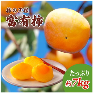 yӂ邳Ɣ[Łz`̉l xL` Ղ7kg ʕ @͂F2025N11{`12{󋵂ɂĊԒʂ肨͂łȂꍇ܂B