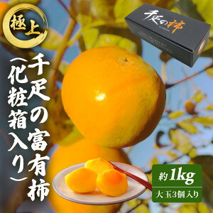 yӂ邳Ɣ[ŁzɏI D̕xL`(ϔ) ʕ @͂F2025N11{`12{󋵂ɂĊԒʂ肨͂łȂꍇ܂B