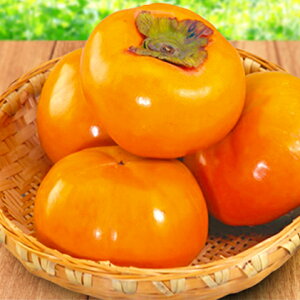 yӂ邳Ɣ[ŁzI ܊|xL` ʕ @͂F2025N12{`12{󋵂ɂĊԒʂ肨͂łȂꍇ܂B