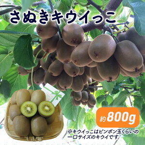 yӂ邳Ɣ[ŁzʂLEC@800g_LECt[c ʕl  @͂F2025N11{`12{󋵂ɂĊԒʂ肨͂łȂꍇ܂B