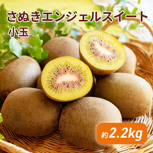 yӂ邳Ɣ[ŁzʂGWFXC[g@ʖ2.2kg_LECt[c ʕl  @͂F2025N11{`12{ 󋵂ɂĊԒʂ肨͂łȂꍇ܂