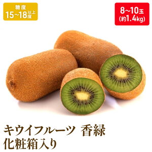 yӂ邳Ɣ[ŁzLECt[cu΁v1.4kgϔ_LECt[c ʕl  @͂F2025N11{`2026N1{ 󋵂ɂĊԒʂ肨͂łȂꍇ