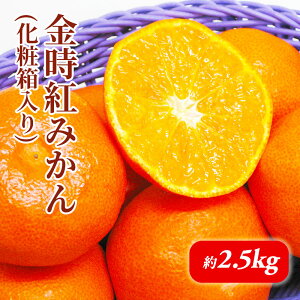 yӂ邳Ɣ[Łzg݂@ϔi2.5kgj_݂ ʕ k t[c ~J   @͂F2025N11{`12{ 󋵂ɂĊ]ʂ肨͂łȂꍇ