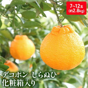 yӂ邳Ɣ[ŁznEXfR|iʂЁjϔi2.8kgj_fR| ʕ ݂ k ~J   @͂F2025N12{`2026N3{ 󋵂ɂĊԒʂ肨