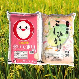 【ふるさと納税】香川県綾川町産コシヒカリ・おいでまい食べ比べセット　【 お米 白米 ライス ご飯 ブランド米 銘柄米 お弁当 おにぎり 食卓 産地直送 主食 炭水化物 香川県産 】