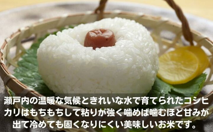 楽天市場】【ふるさと納税】香川県綾川町産コシヒカリ・おいでまい食べ 
