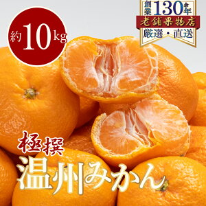 【ふるさと納税】極撰!温州みかん 約10kg  お届け:2025年11月1日〜2026年1月15日